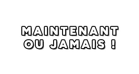 Maintenant ou jamais ! Logo